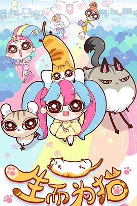 哈尔滨网站优化服务内容